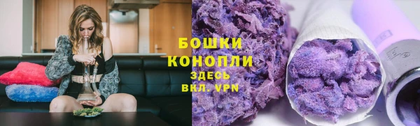трава Наволоки