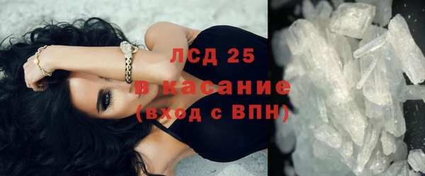 трава Наволоки