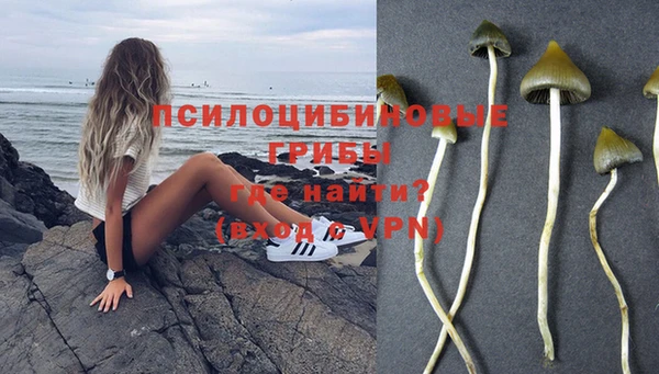 соль ск Михайловка