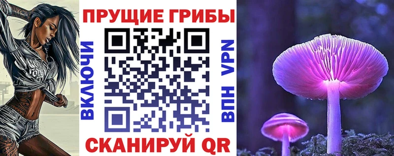 omg маркетплейс  цена наркотик  Великий Новгород  Галлюциногенные грибы Cubensis 