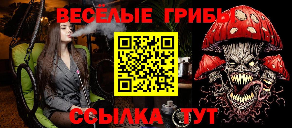 Галлюциногенные грибы Psilocybine cubensis Великий Новгород